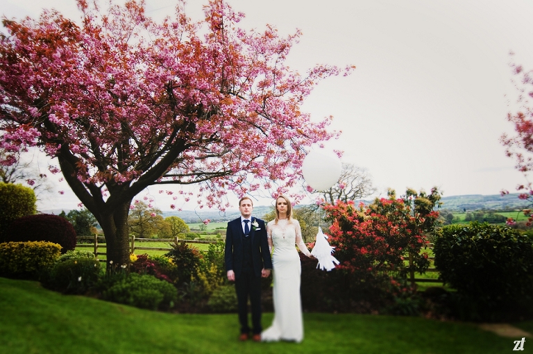 Beautiful blossom tree at Shireburn Arms Hotel in the Ribble Valley Lancashire