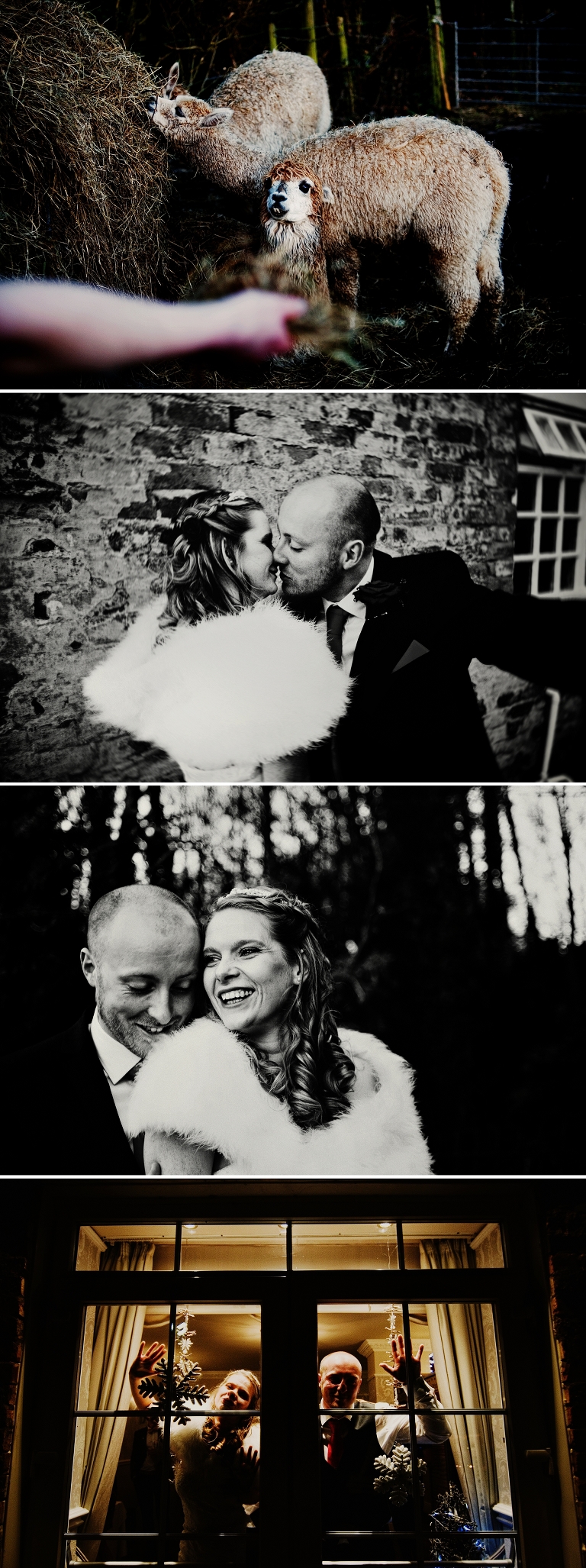 black and white photography of bride and groom at singleton lodge