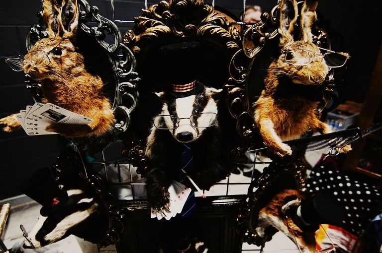 Angie Foster’s animal taxidermy display