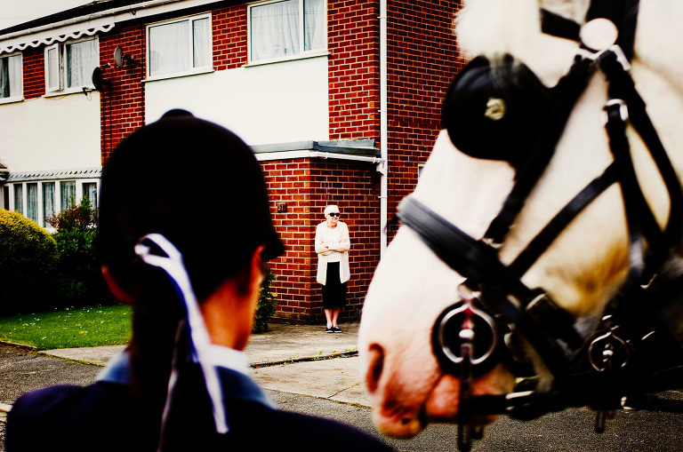 Reportage photo of a white wedding horse wearing blinkers.