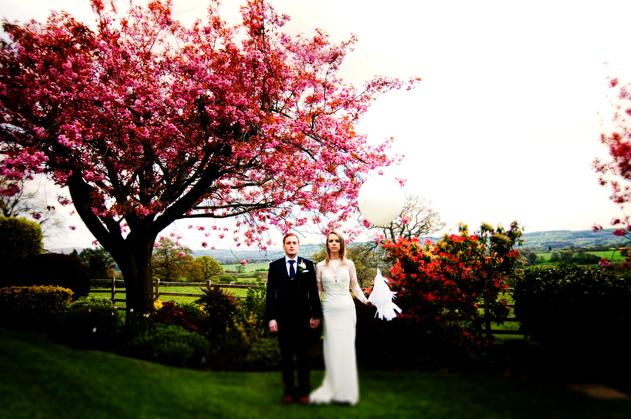 Shireburn Arms Wedding photography of a bride and groom and beautiful pink blossom tree in the garden.