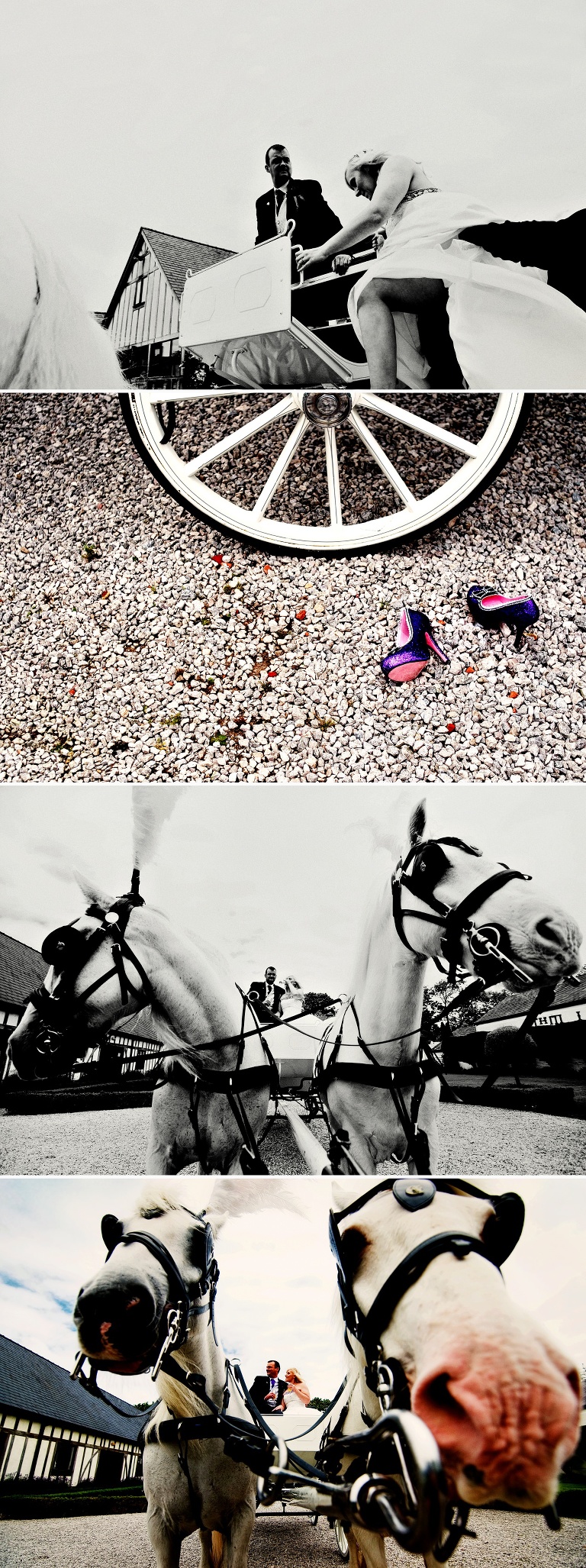 Vicarage Carriage Hire and their 2 beautiful white horses at The Great Hall At Mains.
