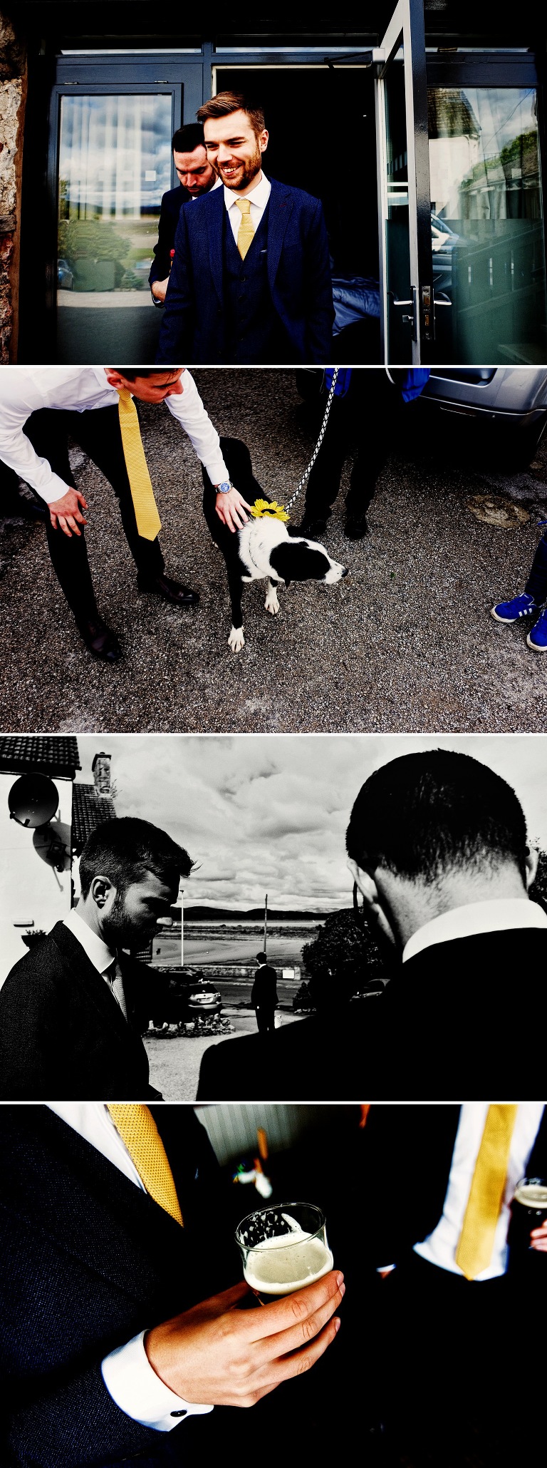 The family dog wearing a sunflower ready for the wedding.